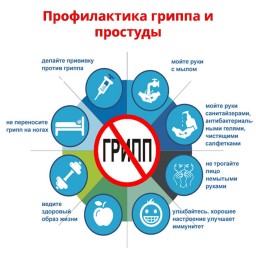 Профилактика гриппа и ОРВИ