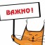 Внимание: расписание и закрепленые кабинеты, график прихода в школу