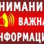 Внимание выпускников